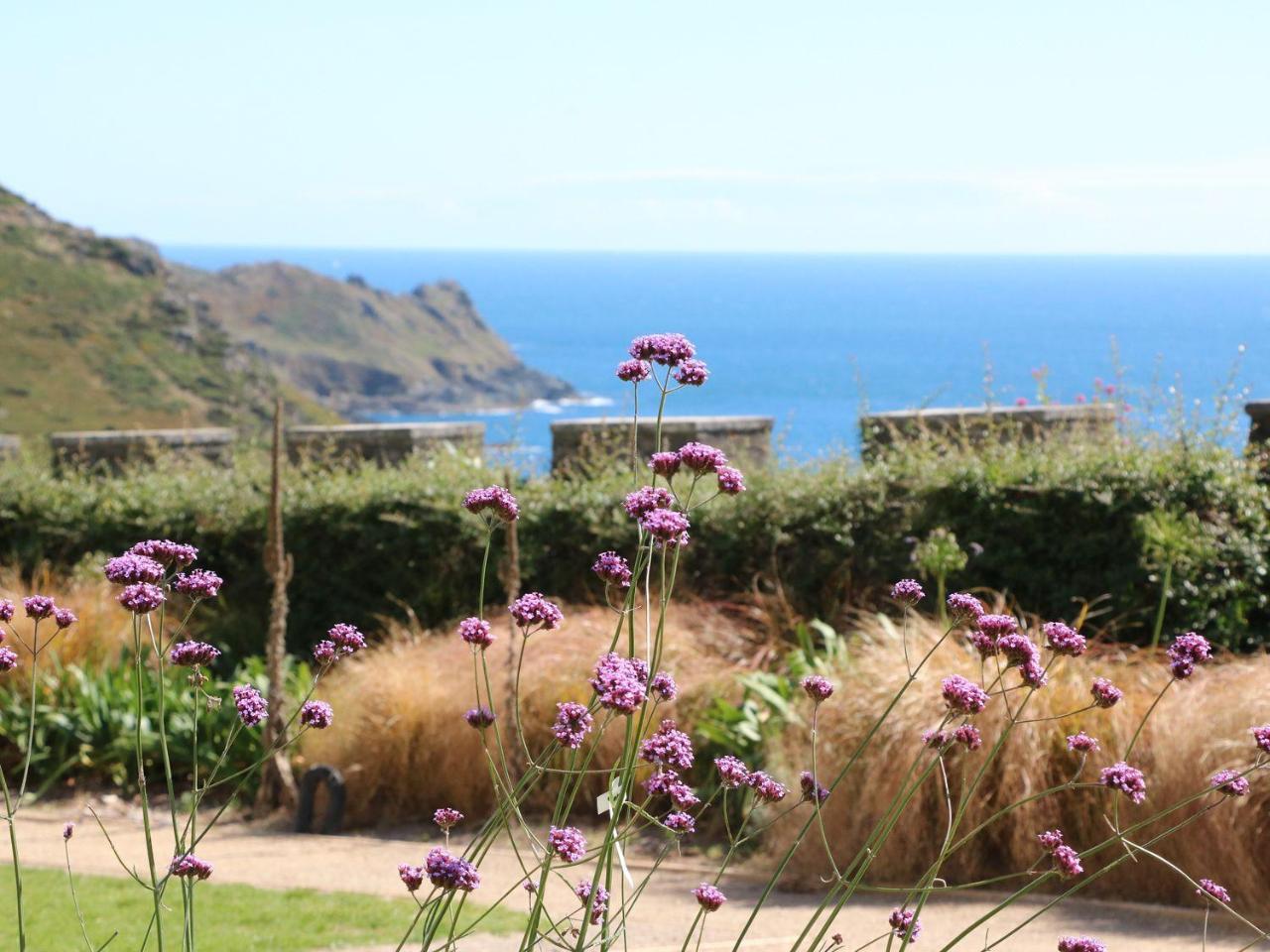 Gara Rock - Garden Apartment 7, Salcombe Exterior foto